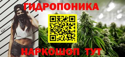 MDMA Новозыбков