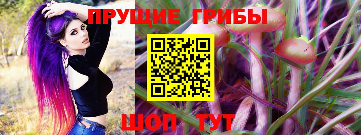 Галлюциногенные грибы GOLDEN TEACHER  Вход с VPN  Тверь 